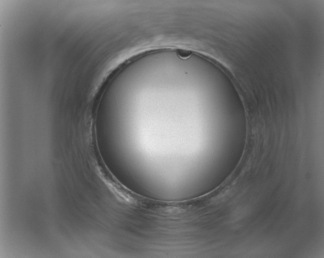 X0000064061507200602101517
