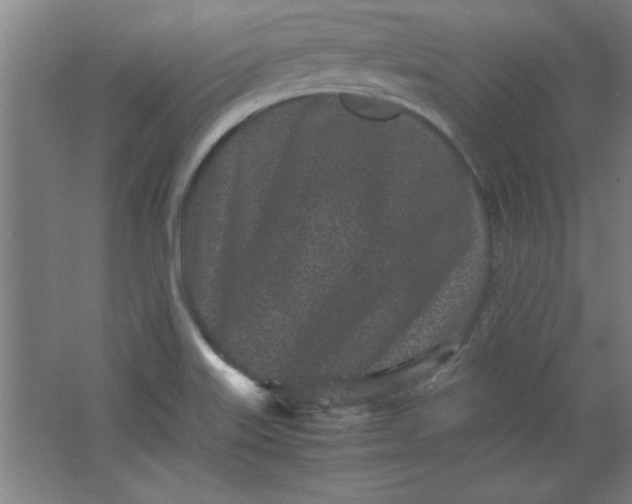 X0000064061515200602101517