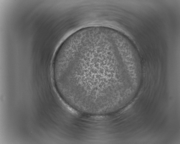 X0000064061517200602101517