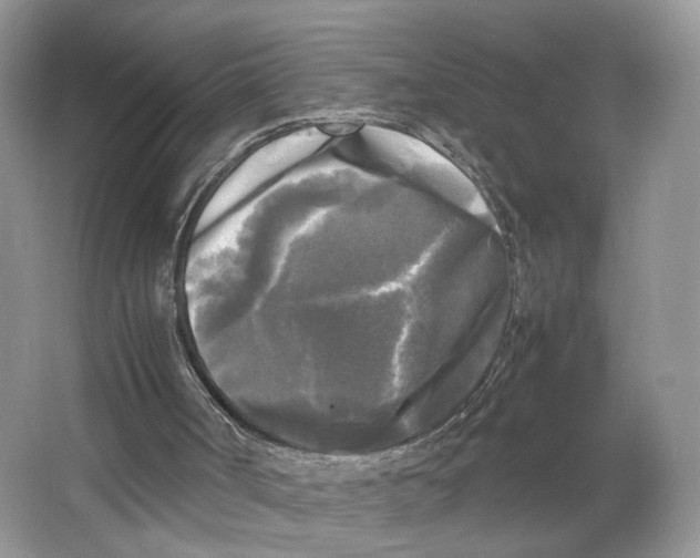 X0000064060002200602171749