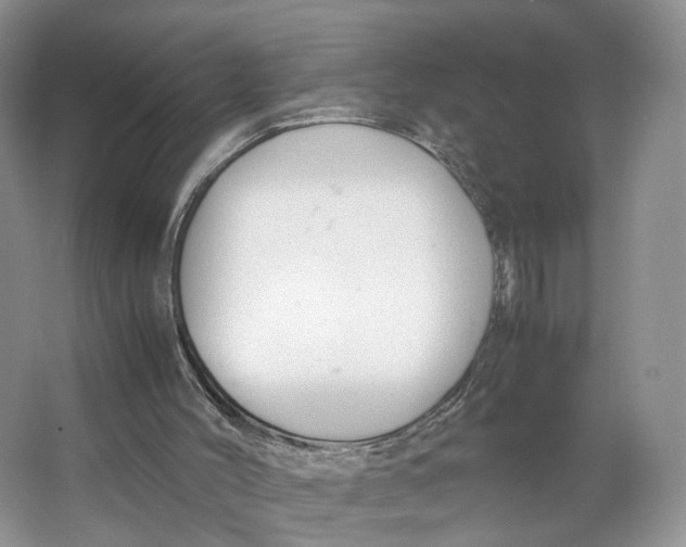 X0000064060004200602171749