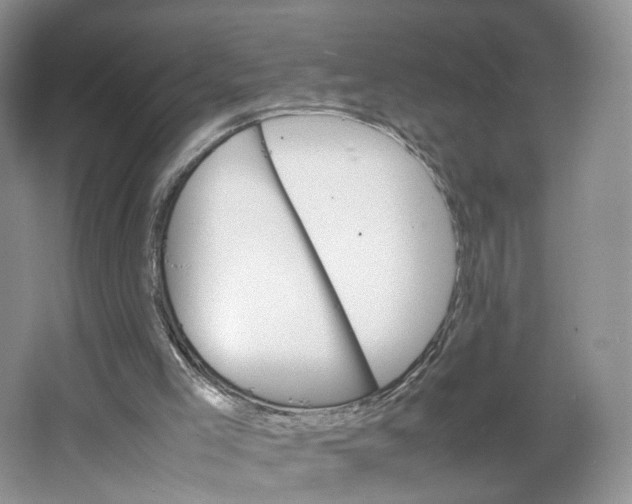 X0000064060005200602171749