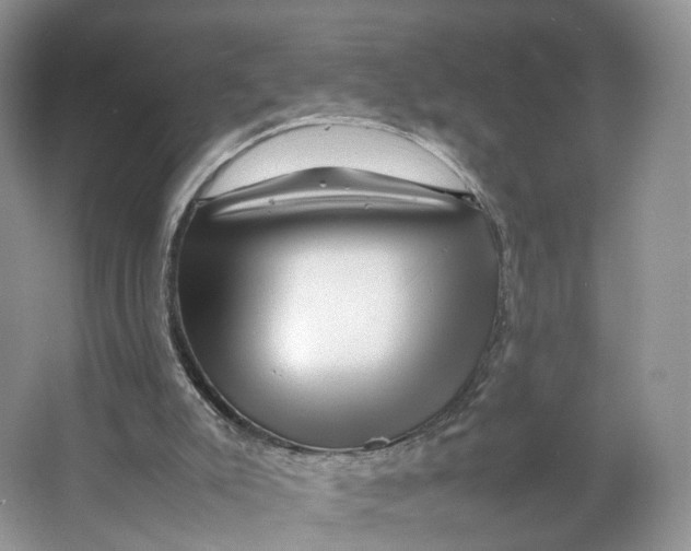 X0000064060007200602171749