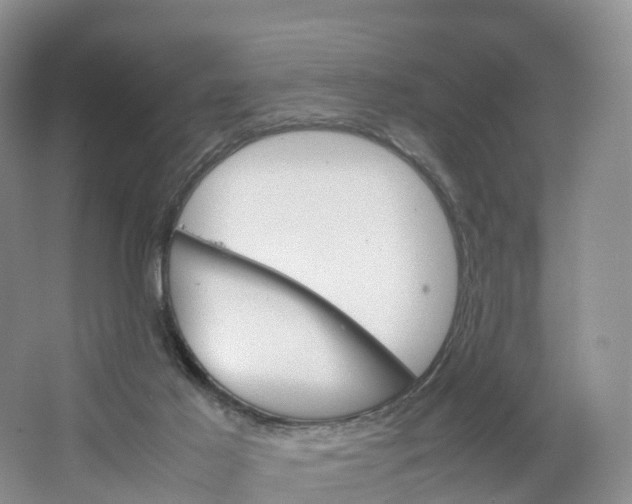 X0000064060021200602171748