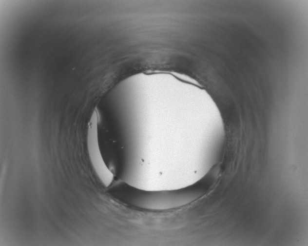 X0000064060033200602171748