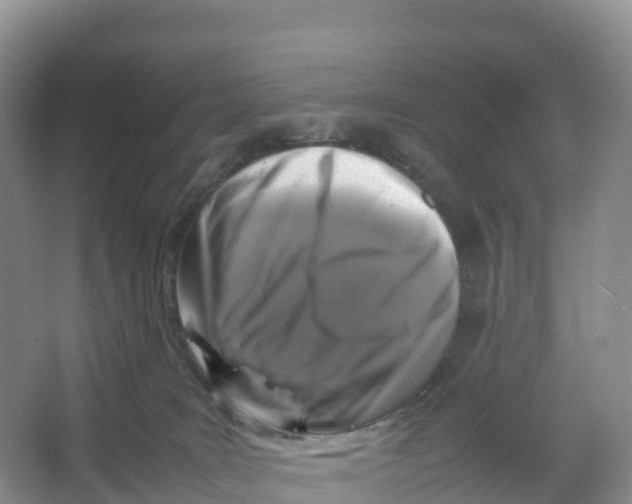 X0000064060035200602171748