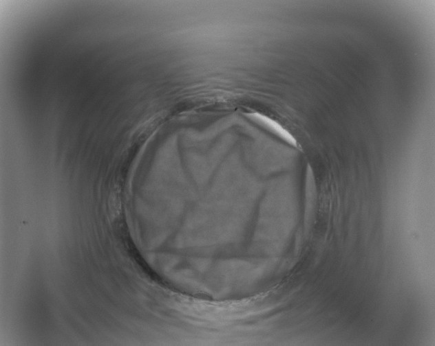 X0000064060043200602171748