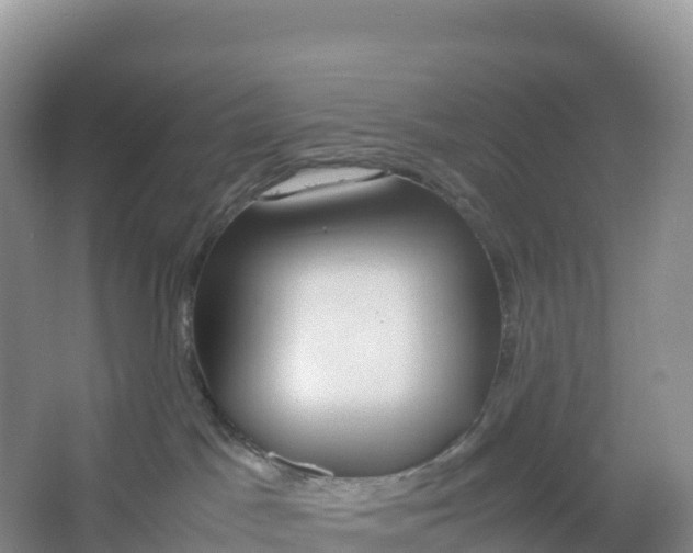 X0000064060045200602171748