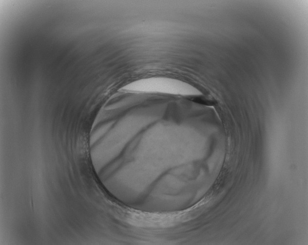 X0000064060048200602171748