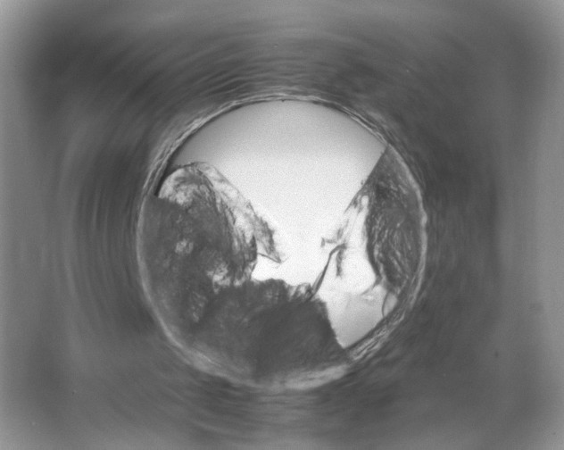 X0000064060049200602171747