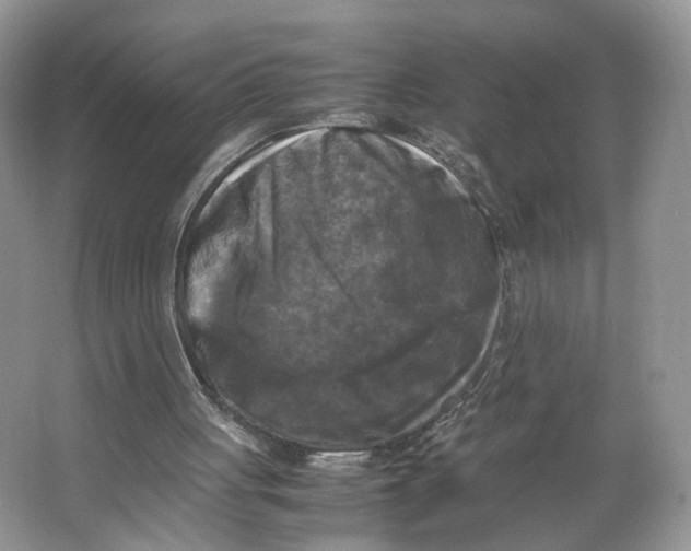 X0000064060051200602171747