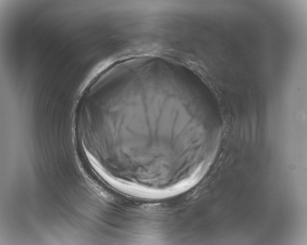 X0000064060054200602171747