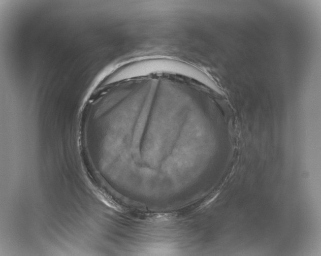 X0000064060056200602171747
