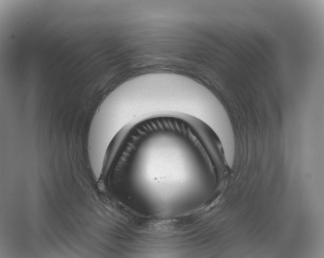 X0000064060078200602171748