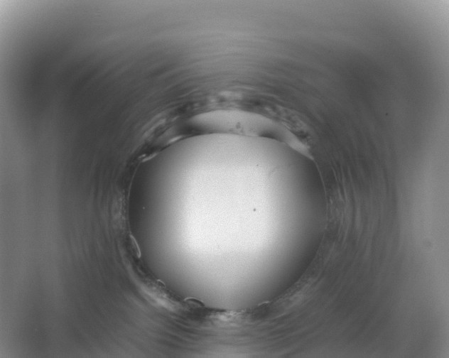 X0000064060092200602171748