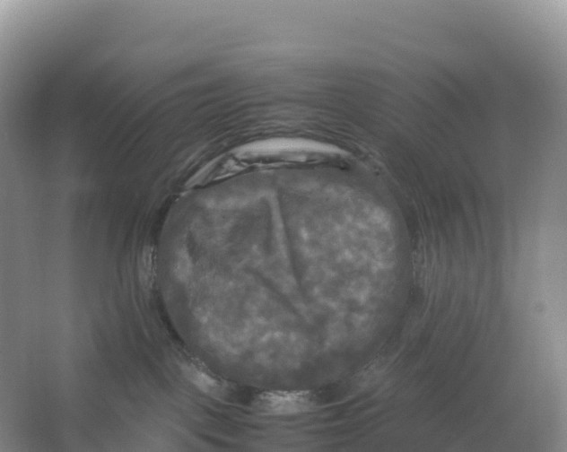 X0000064060093200602171748