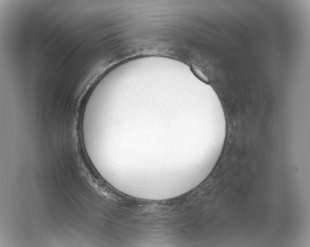 X0000064060098200602171747