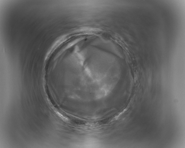 X0000064060101200602171747
