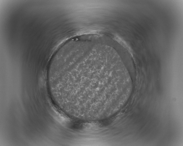 X0000064060107200602171747