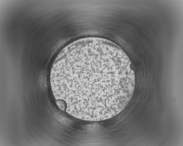 X0000064060112200602171747
