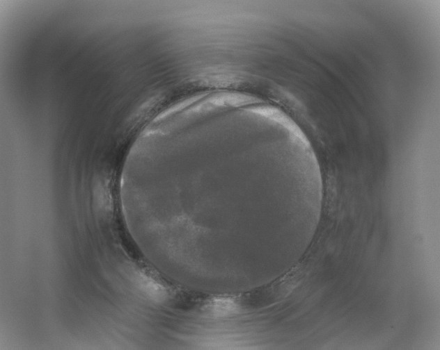 X0000064060114200602171747