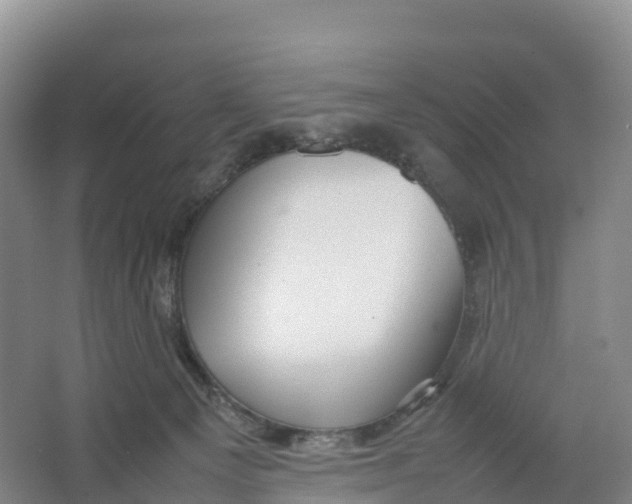 X0000064060129200602171747