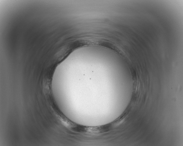 X0000064060141200602171746