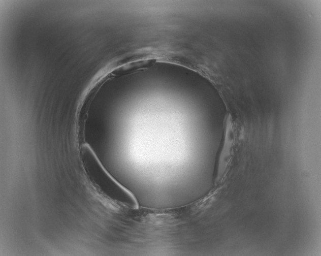 X0000064060150200602171746
