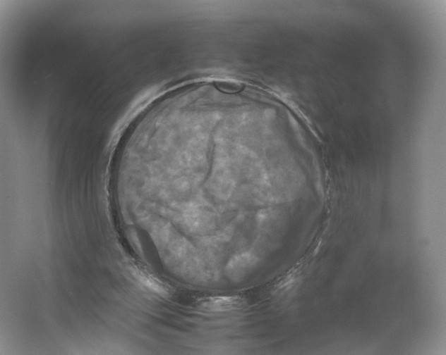 X0000064060151200602171746