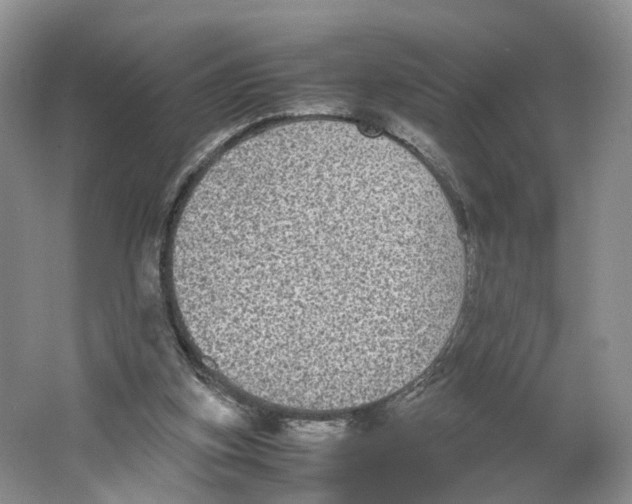 X0000064060155200602171746