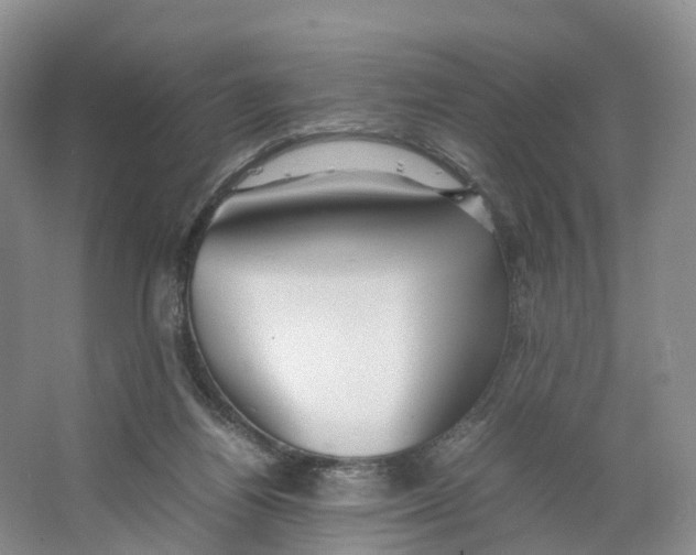 X0000064060164200602171746