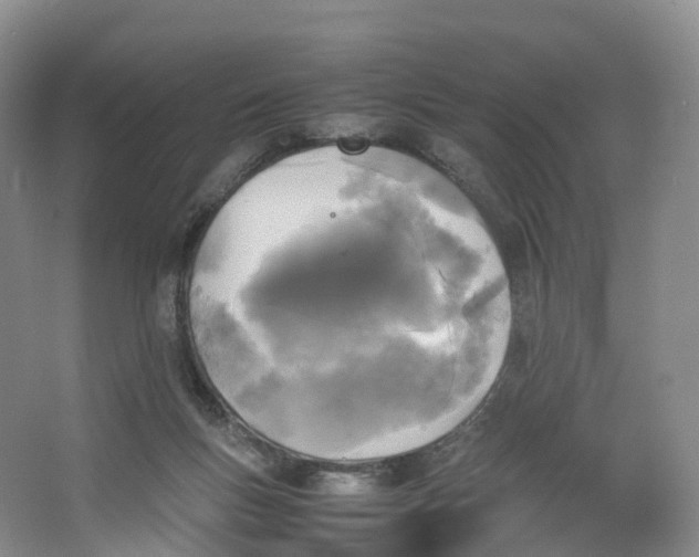 X0000064060167200602171746