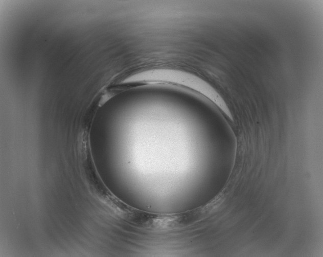 X0000064060172200602171746