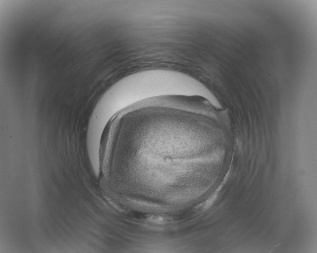 X0000064060174200602171746