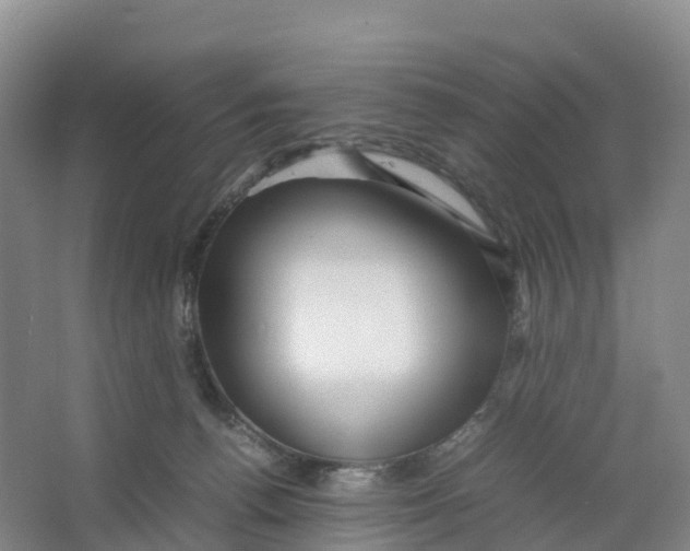X0000064060176200602171746