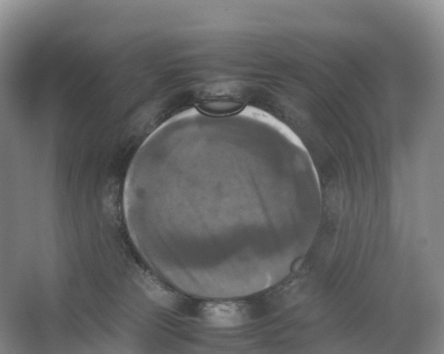 X0000064060181200602171746