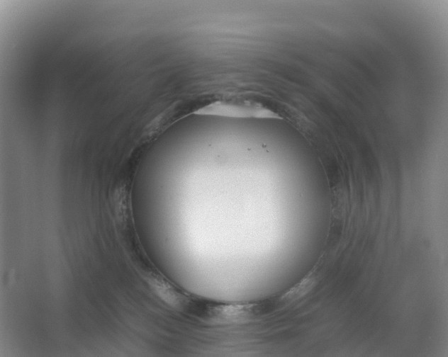 X0000064060184200602171746