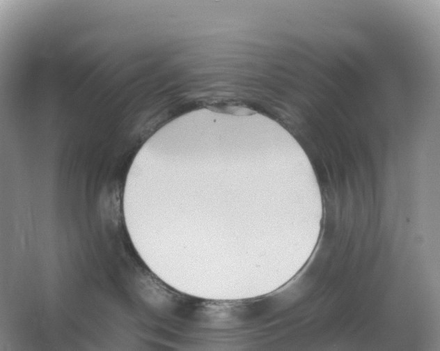 X0000064060190200602171746