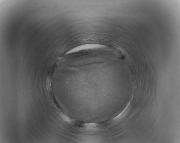 X0000064060192200602171746