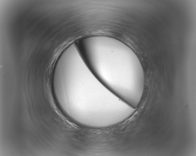 X0000064060193200602171746
