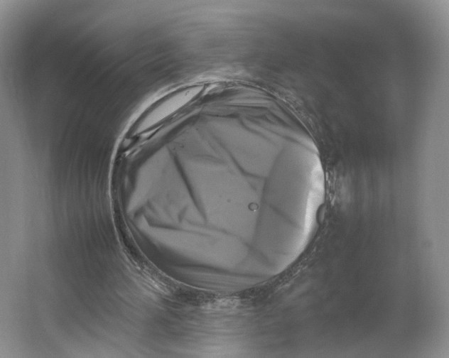 X0000064060196200602171745