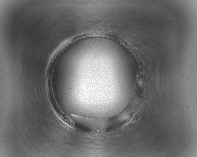 X0000064060197200602171745