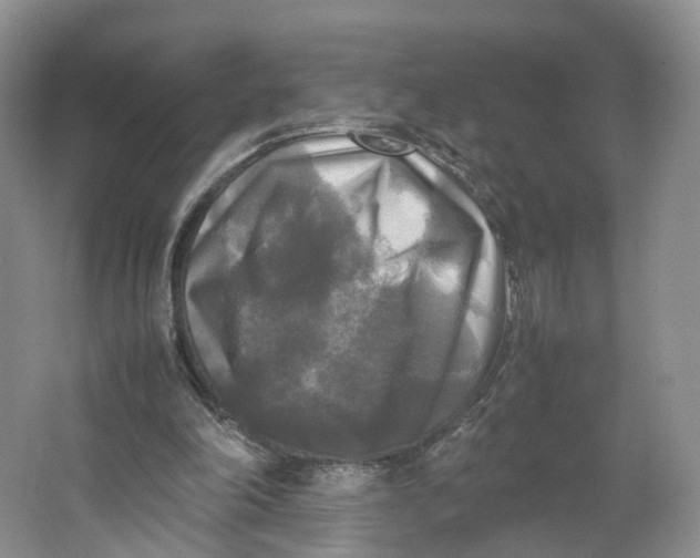 X0000064060198200602171745