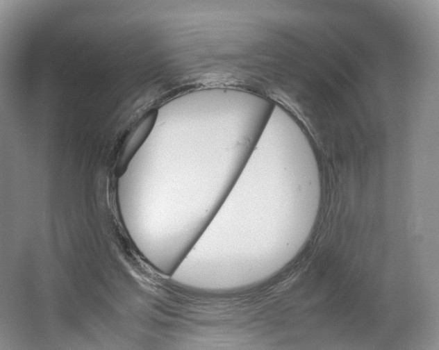 X0000064060205200602171745