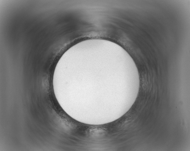 X0000064060208200602171745