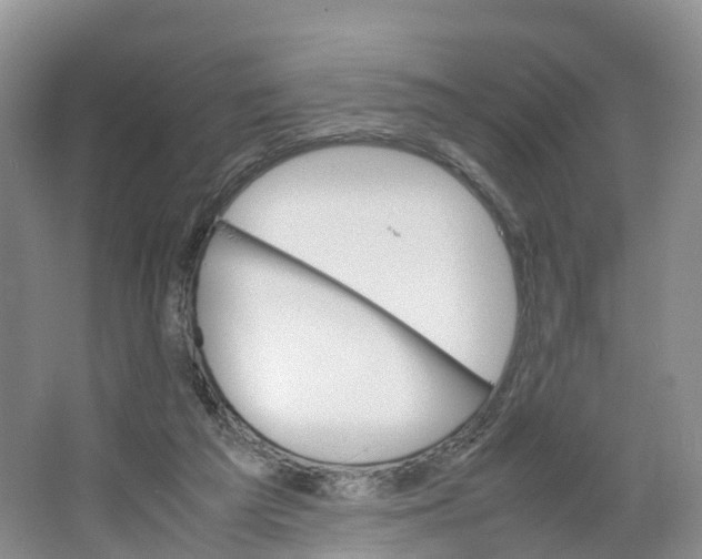 X0000064060209200602171745