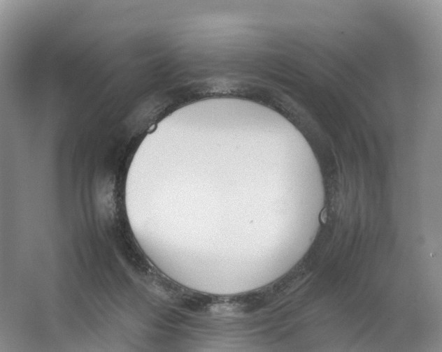 X0000064060216200602171745