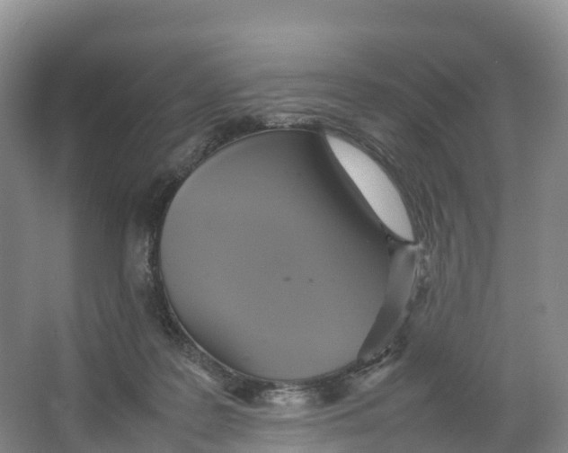 X0000064060219200602171745