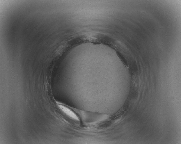 X0000064060223200602171745