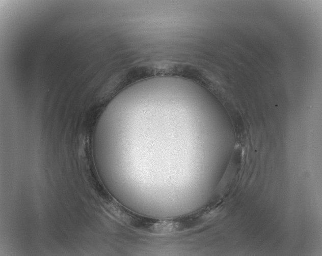 X0000064060225200602171745